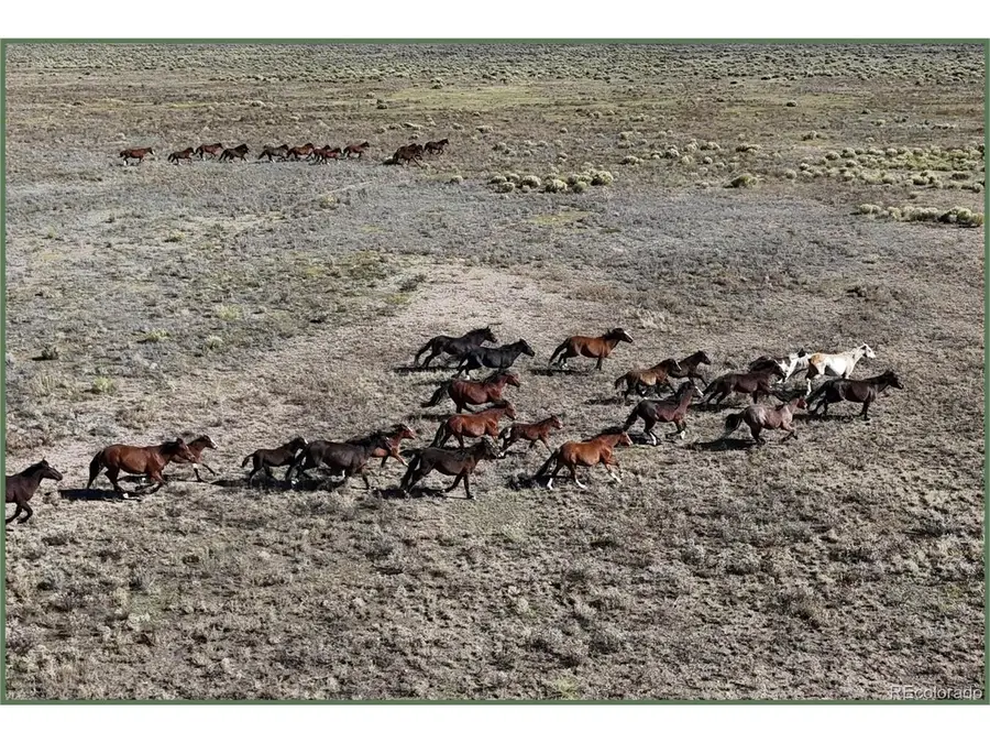 777 N 285 Hwy, Saguache, CO 81149 - Image #2