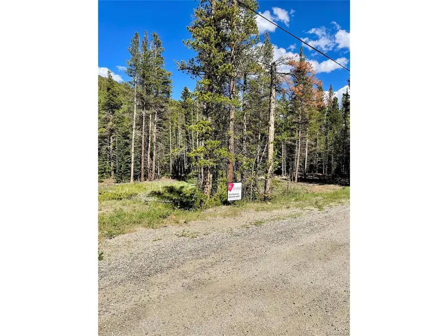 Silver Creek Rd, Idaho Springs, CO 80452 - #3