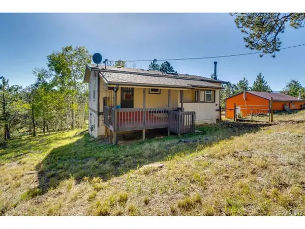 354 Doe Cir, Bailey, CO 80421