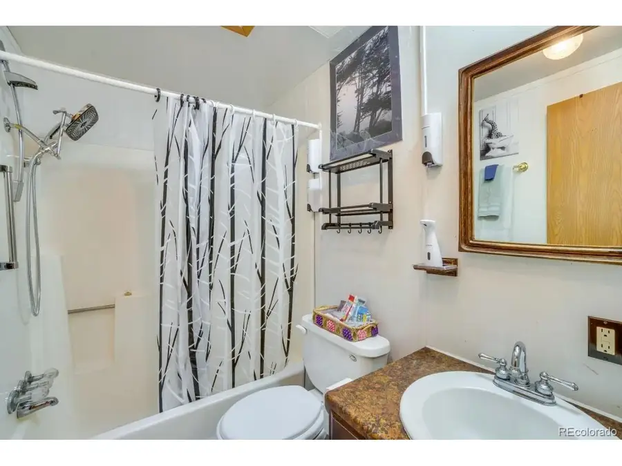 354 Doe Cir, Bailey, CO 80421 - #3
