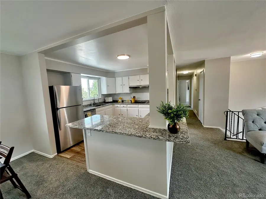 925 W 101st Ave, West Adams, CO 80260 - #3