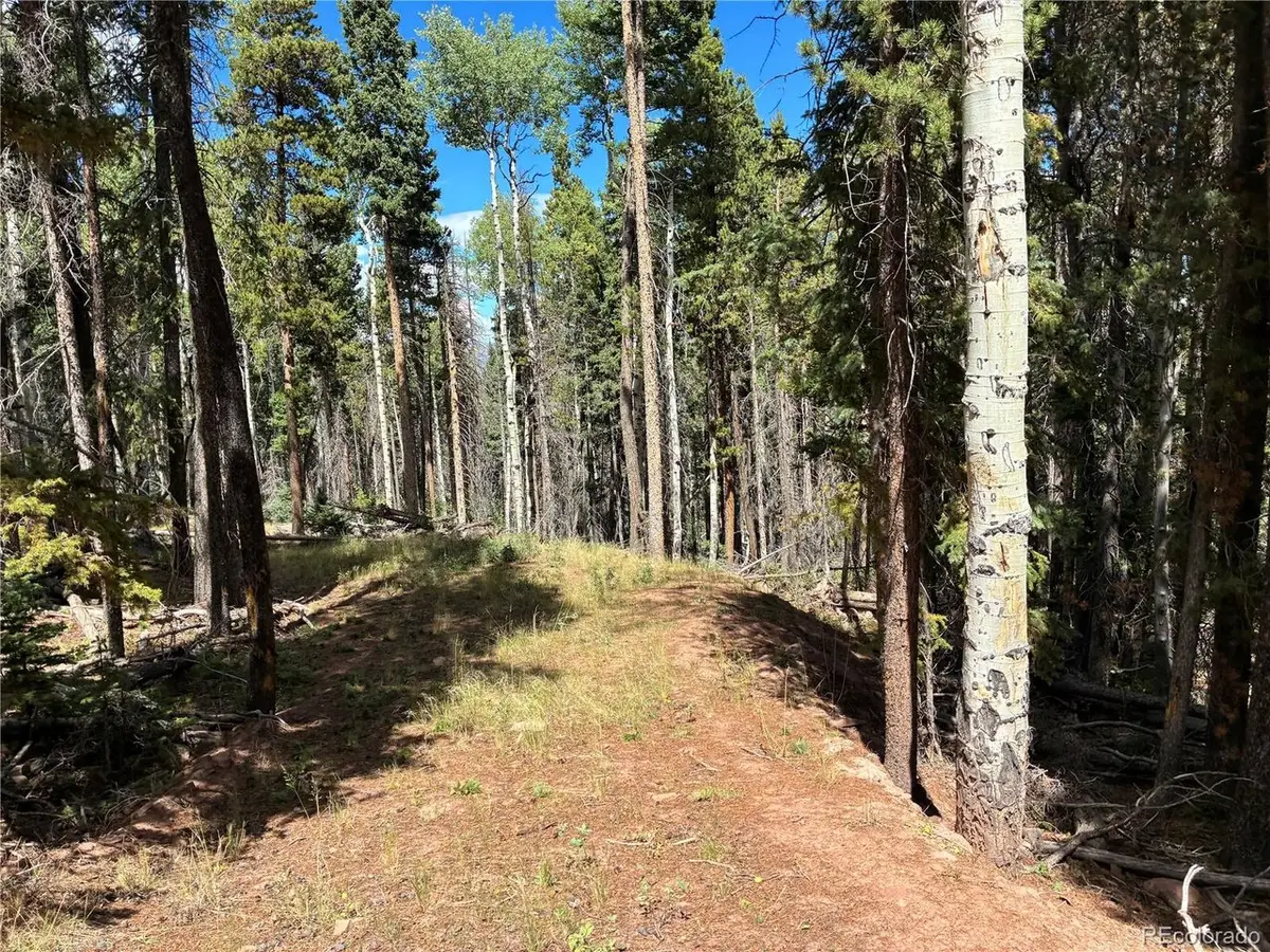 2380 Benton Rd, Fort Garland, CO 81133 - #1