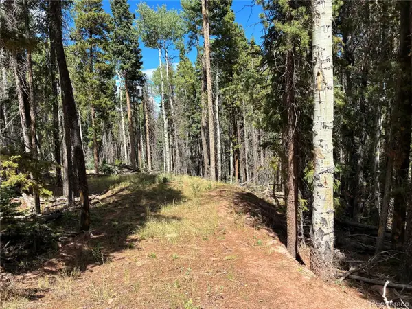 2380 Benton Rd, Fort Garland, CO 81133