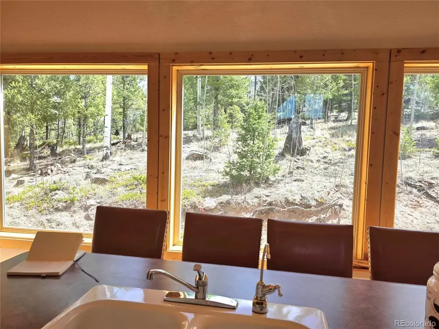 290 Eagle Rock Rd, Florissant, CO 80816 - #2