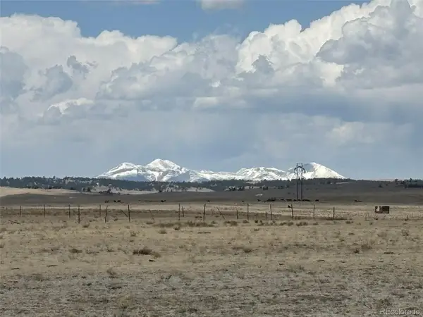 7125 Rio Blanco Rd, Hartsel, CO 80449