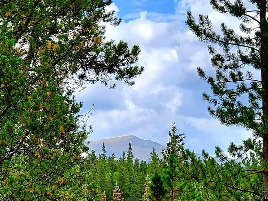 211 Pine Ridge Rd, Alma, CO 80420 - #3