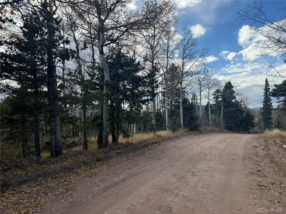 2663 Petito Dr, Fort Garland, CO 81133 - #1