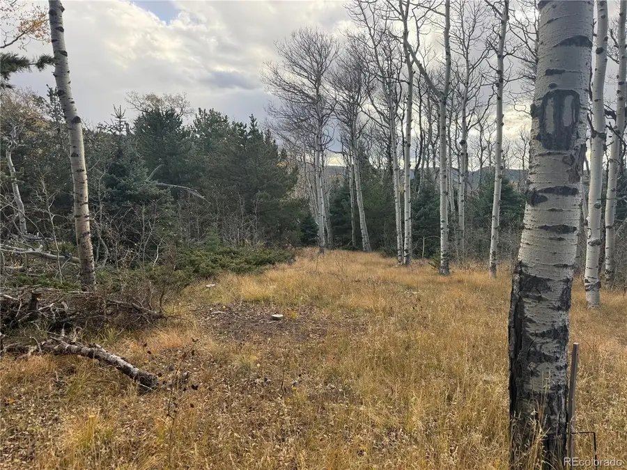 2663 Petito Dr, Fort Garland, CO 81133 - #2