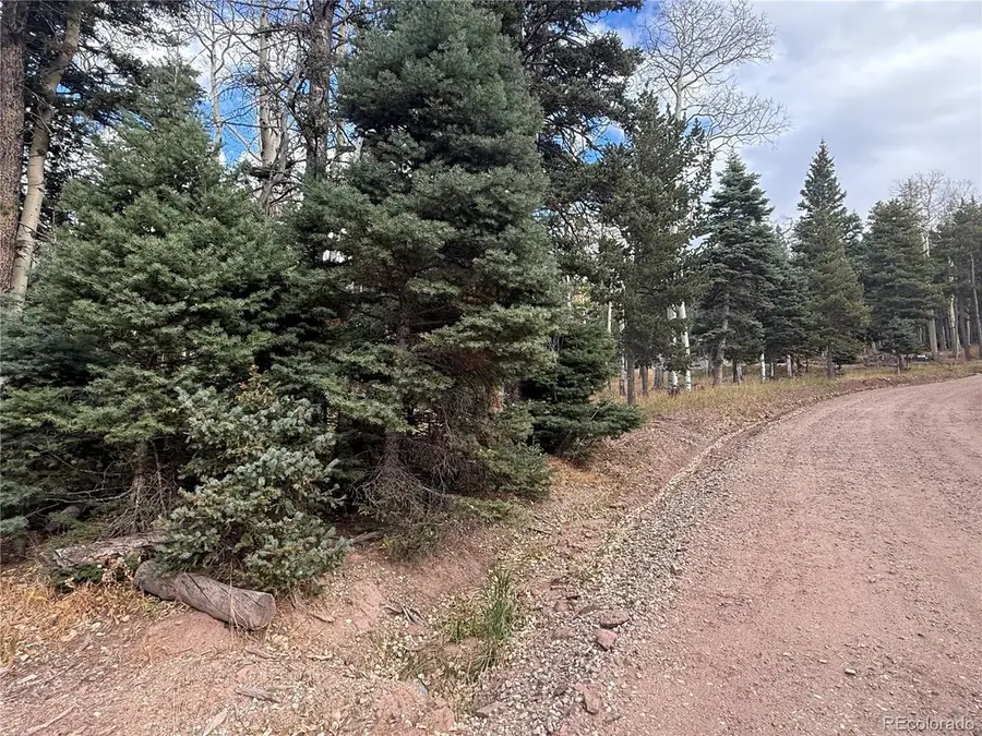 2663 Petito Dr, Fort Garland, CO 81133 - #3