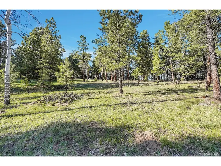 Molly Dr, Lot #1, Conifer, CO 80433 - #2