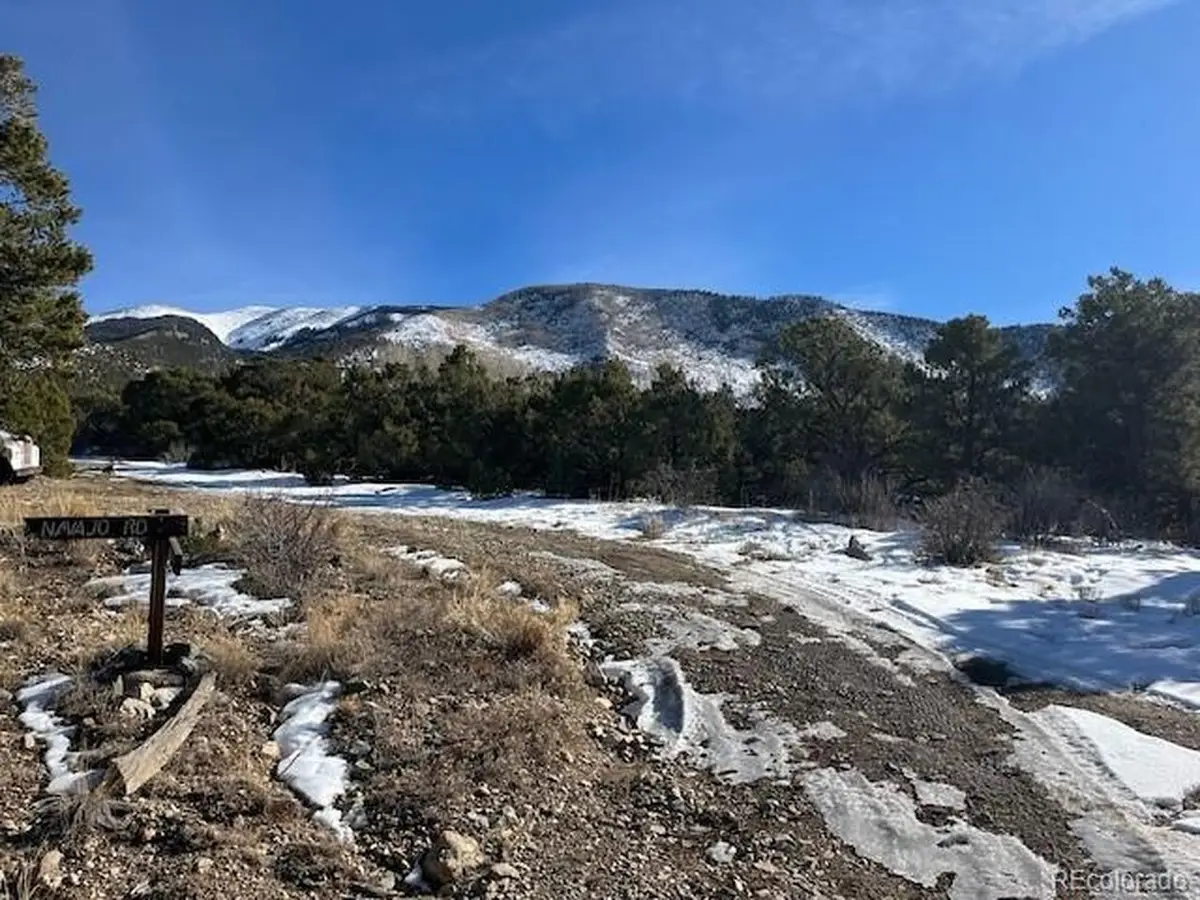 209 Blanca Pl, Mosca, CO 81146 - #1