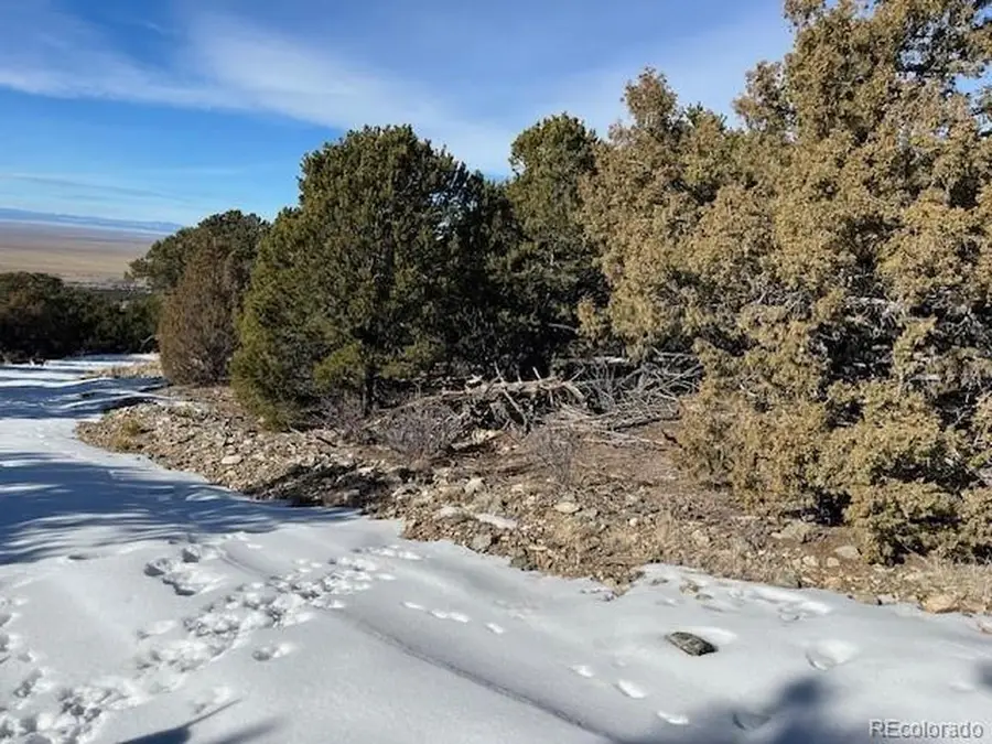 209 Blanca Pl, Mosca, CO 81146 - #2