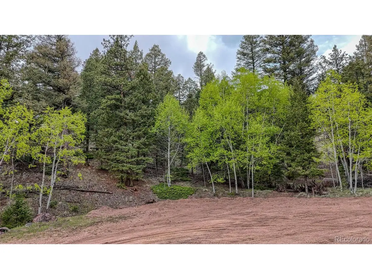 918 Pinon Ln, Florissant, CO 80816 - #1