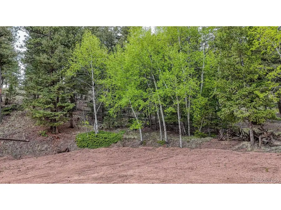 918 Pinon Ln, Florissant, CO 80816 - #3
