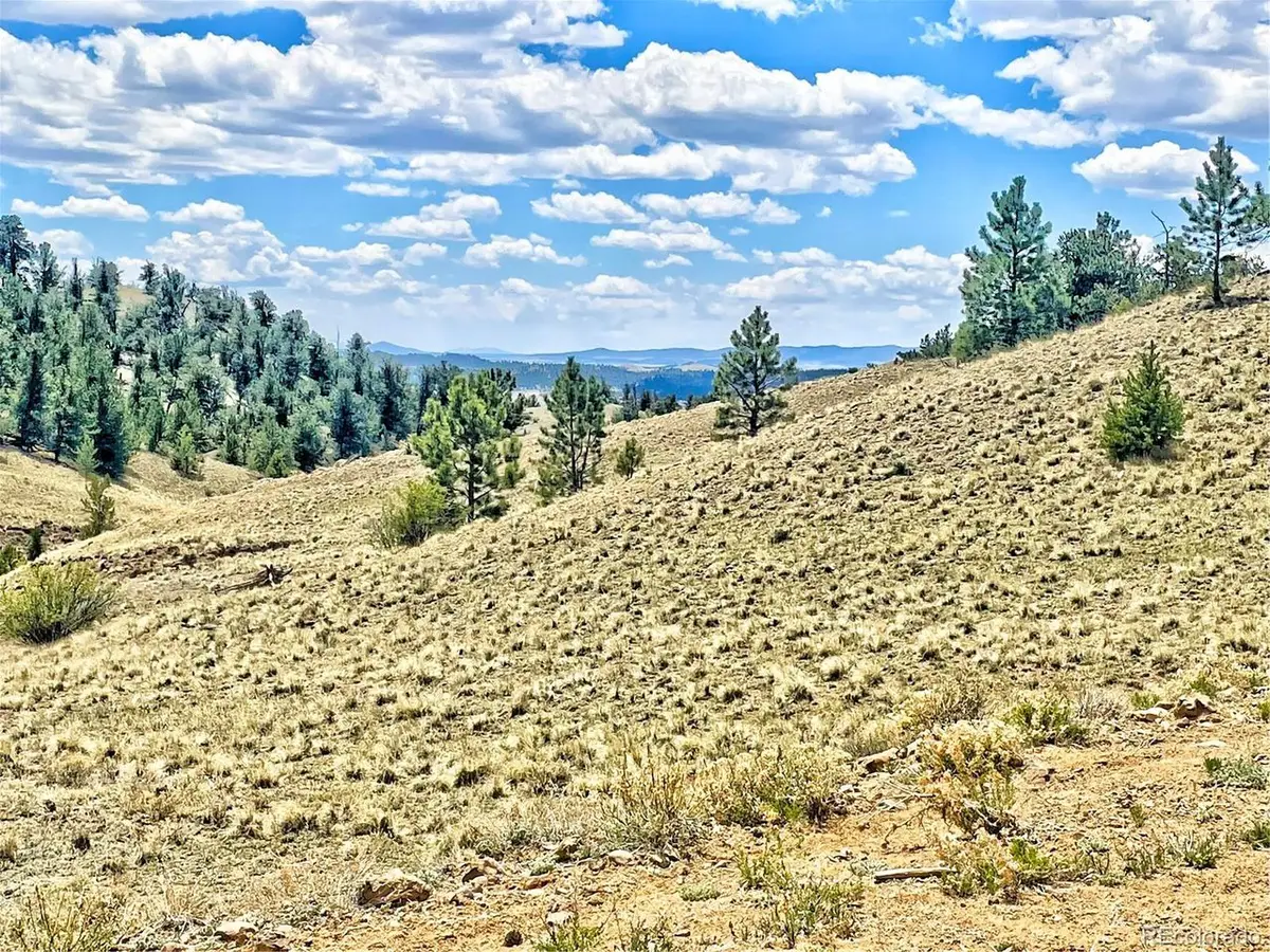 243 June Ln, Hartsel, CO 80449 - #1