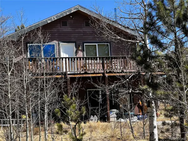 141 Hiawatha Cir, Hartsel, CO 80449