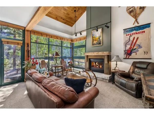 259 Alpen Rose Pl #8711, Keystone, CO 80435