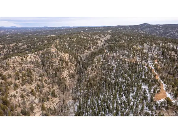 3388 N Mountain Estates Rd, Florissant, CO 80816