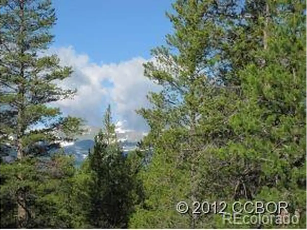 205 Alpine Cirque, Leadville, CO 80461 - #1