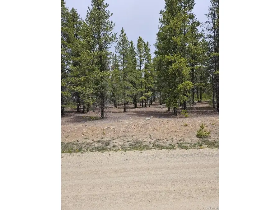 205 Alpine Cirque, Leadville, CO 80461 - #3