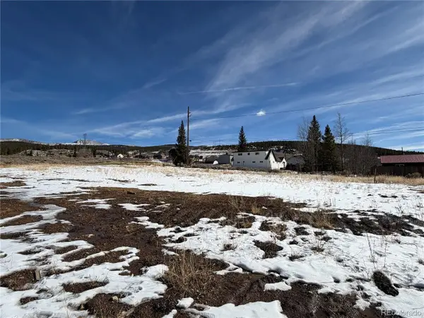 623 E 8th St, Leadville, CO 80461