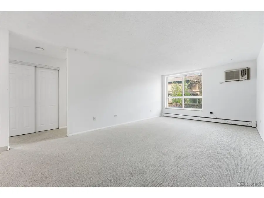 1050 N Lafayette St #307, Denver, CO 80218 - #3