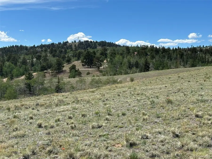 135 Hawk Way, Como, CO 80432 - #3
