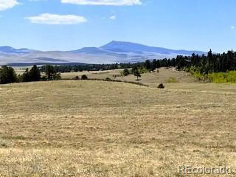 7493 Ranch Rd, Hartsel, CO 80449 - #3