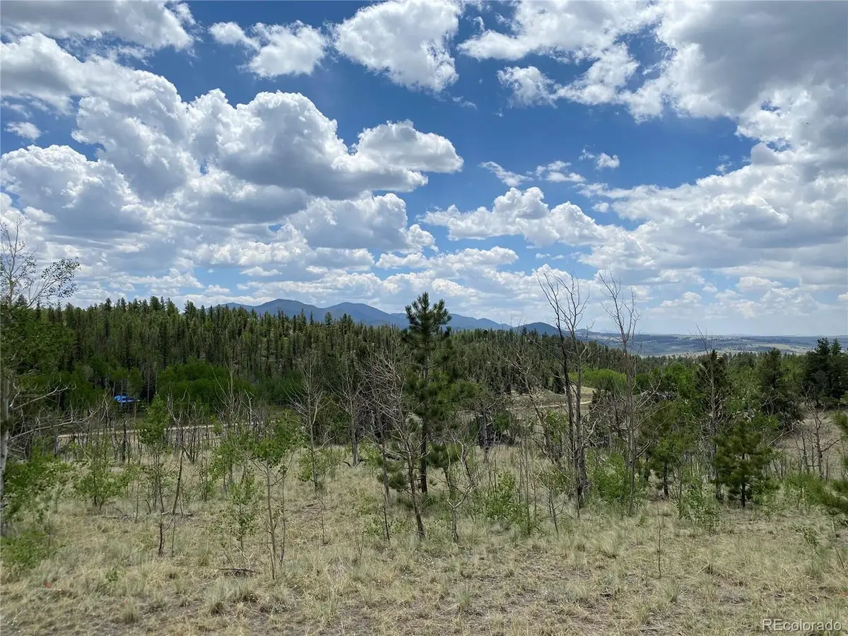 0 Al Gulch Rd, Jefferson, CO 80456 - #1