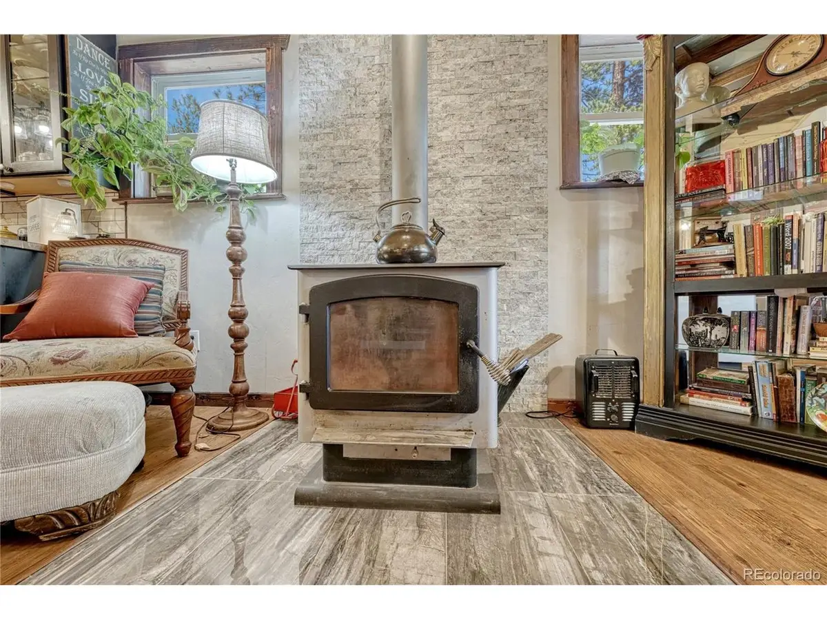 133 Brown St, Bailey, CO 80421 - #1