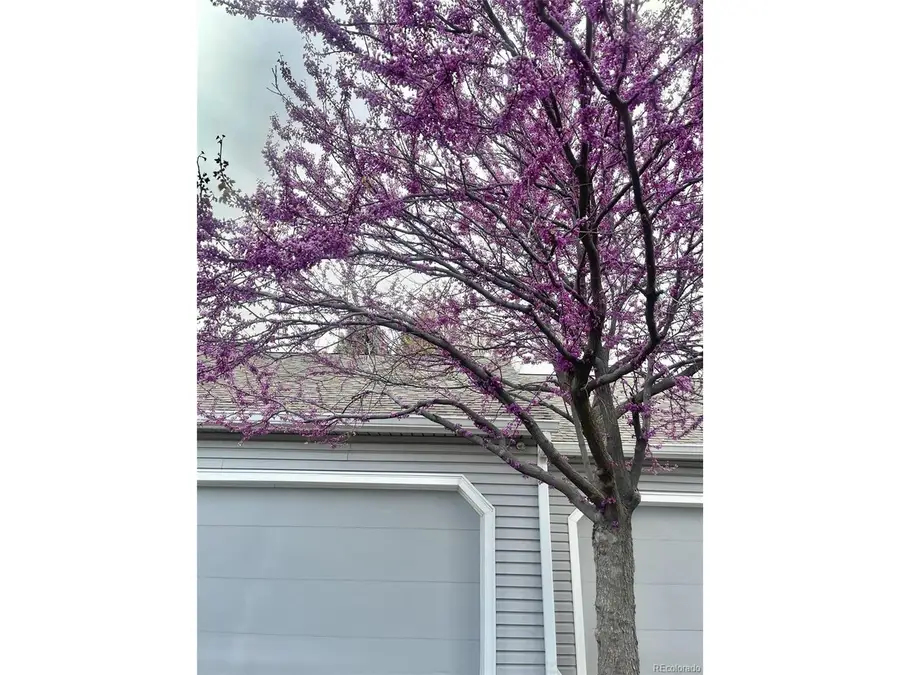 13703 E Marina Dr #A, Aurora, CO 80014 - #2