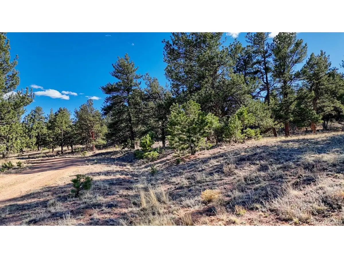5124 Arikara Trl, Hartsel, CO 80449 - #1