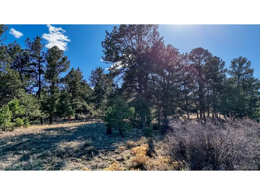 5124 Arikara Trl, Hartsel, CO 80449 - #2