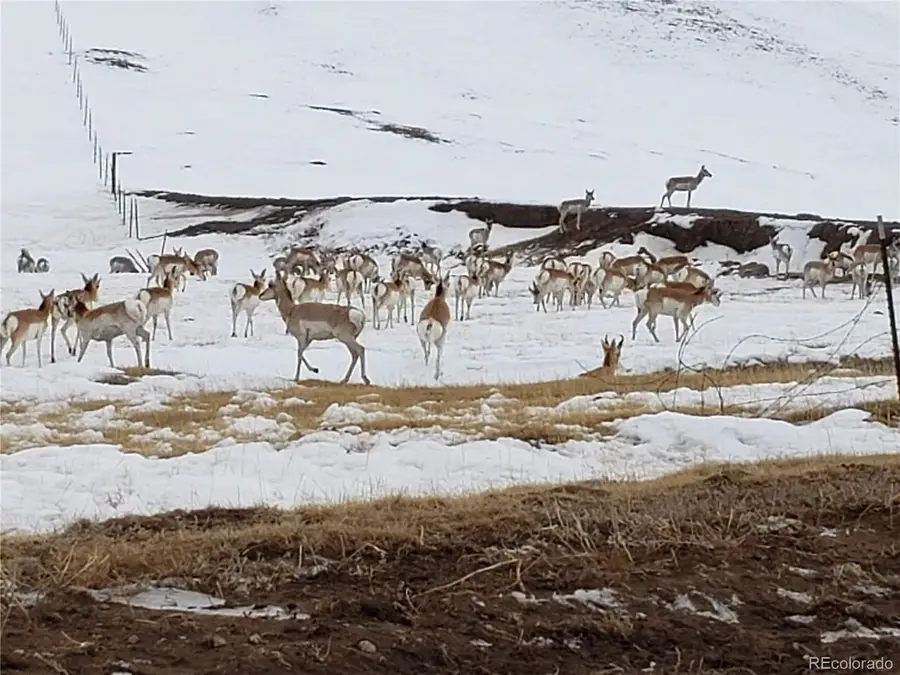 55 Jay Ct, Hartsel, CO 80449 - #2