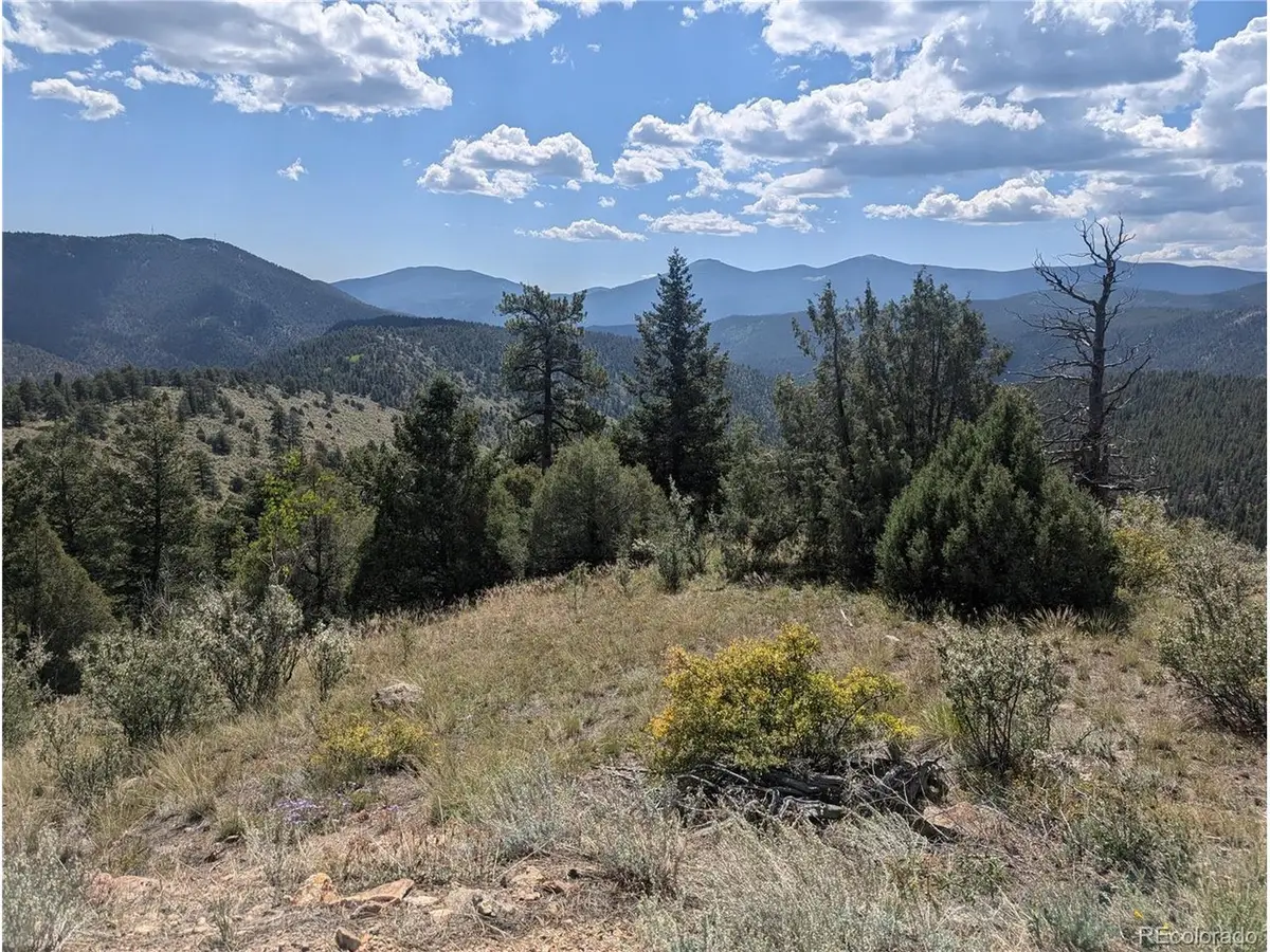 0 Maud L, Dumont, CO 80436 - #1