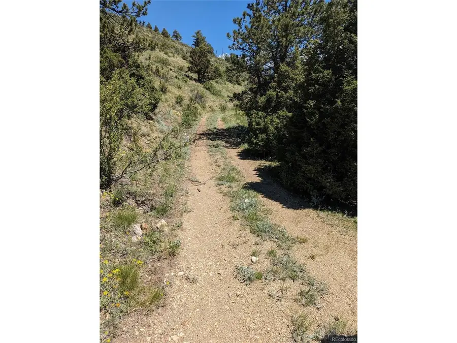 0 Maud L, Dumont, CO 80436 - #2