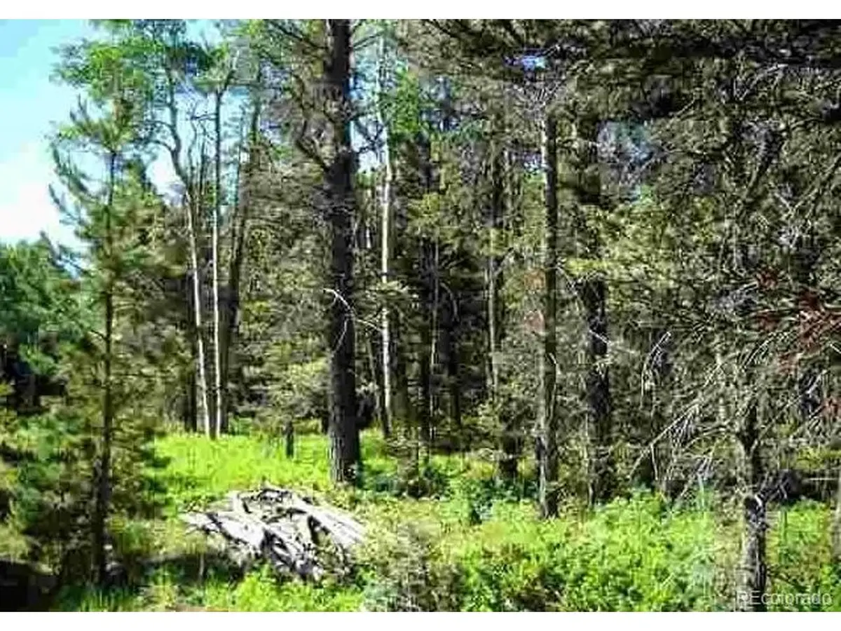 Address Withheld By Seller, Fort Garland, CO 81133 - Image #1