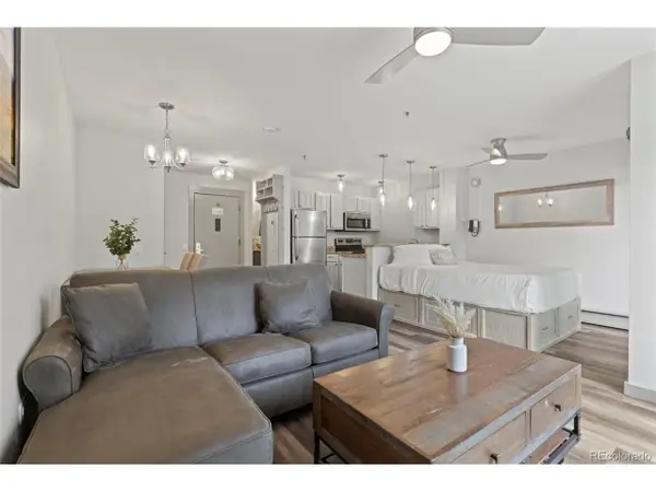 100 S Park Ave #W308, Breckenridge, CO 80424