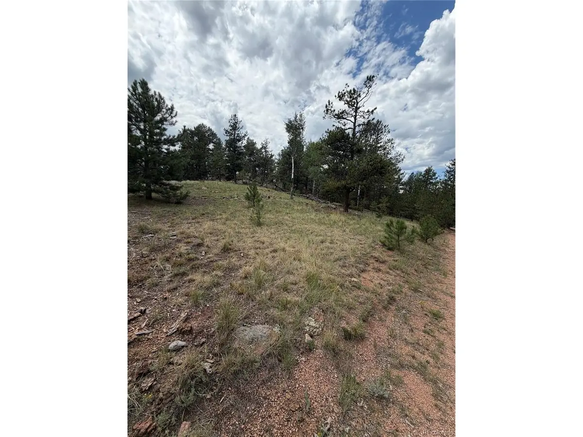 11042 County Rd 1, Florissant, CO 80816 - #1