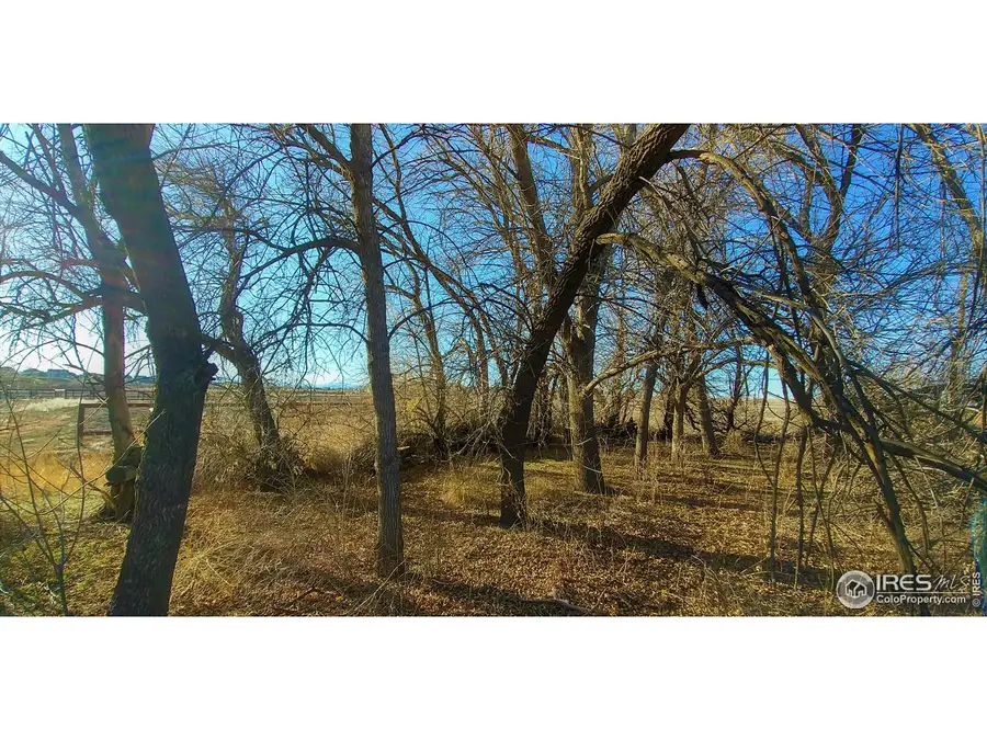 2120 7th St, Windsor, CO 80550 - #3