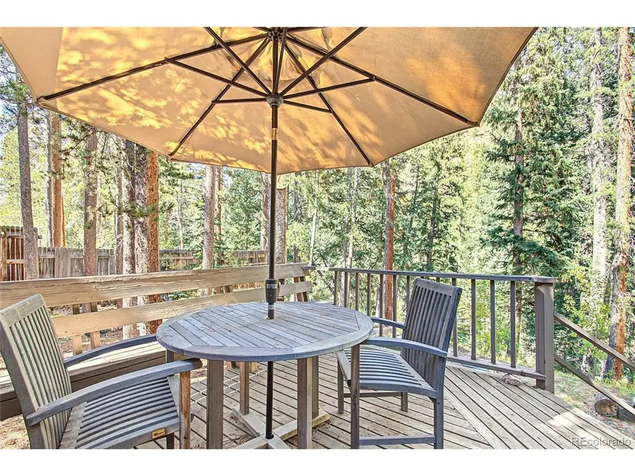 7739 County Road 43, Bailey, CO 80421 - #2