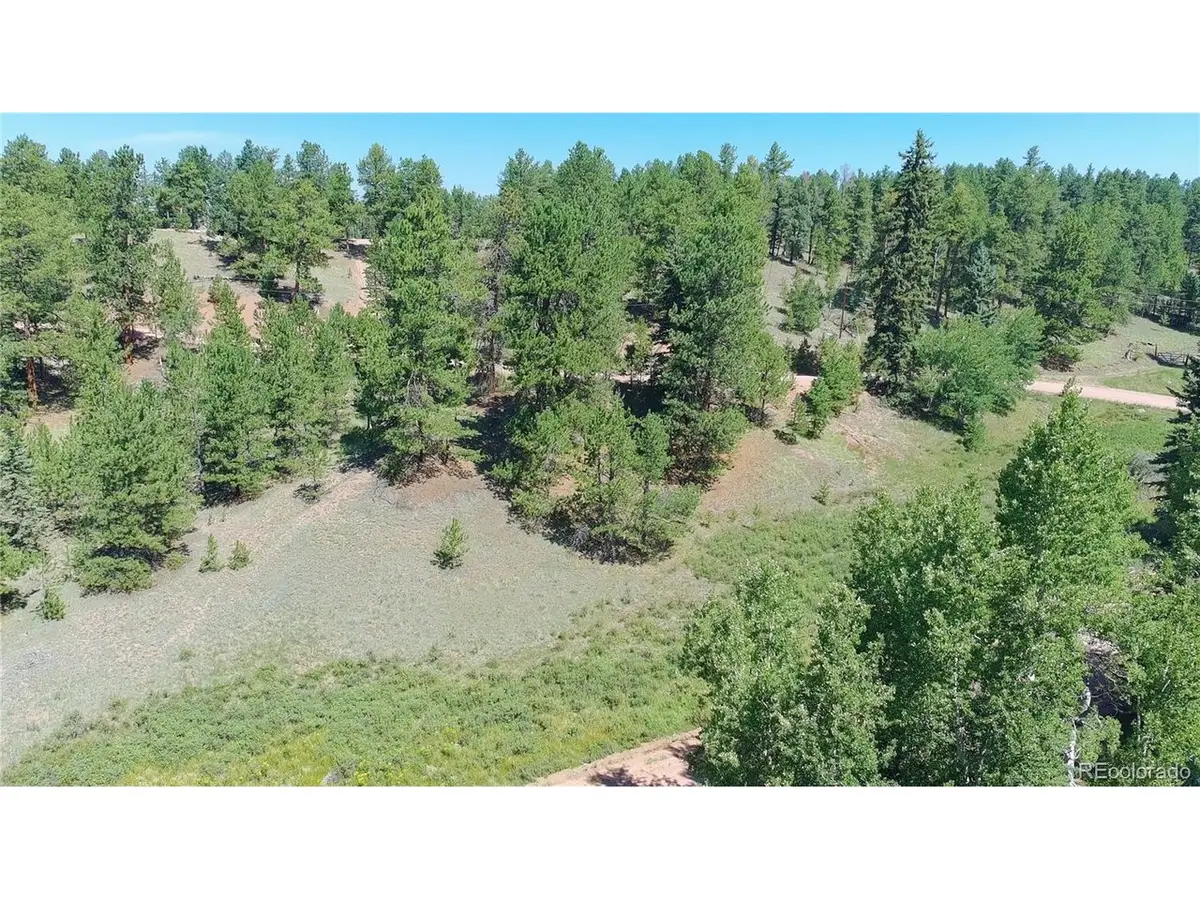 787 Spring Valley Ln, Florissant, CO 80816 - #1