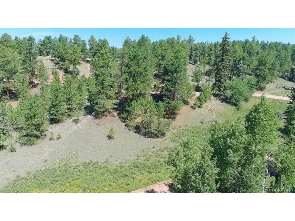 787 Spring Valley Ln, Florissant, CO 80816