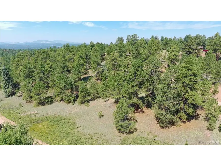 787 Spring Valley Ln, Florissant, CO 80816 - #2