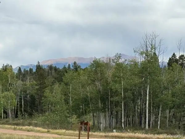 455 Aspen Way Dr, Florissant, CO 80816