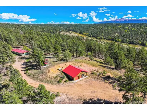 176 Chalk Circle Trl, Florissant, CO 80816