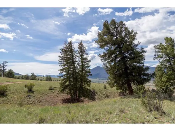 730 Cliff View Dr, Creede, CO 81130