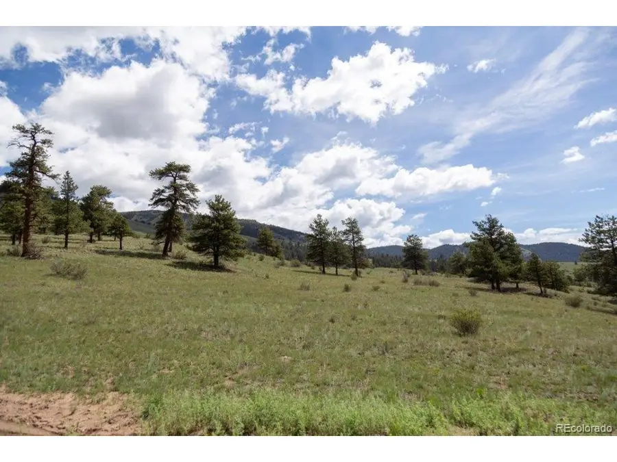 730 Cliff View Dr, Creede, CO 81130 - #3