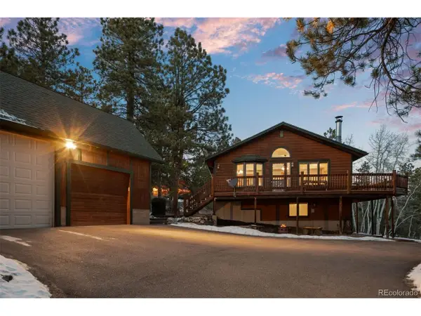 65 Doe Cir, Bailey, CO 80421