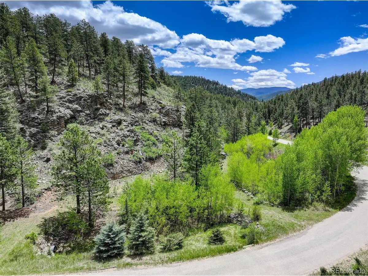 400 Crow Valley Rd, Bailey, CO 80421 - #1